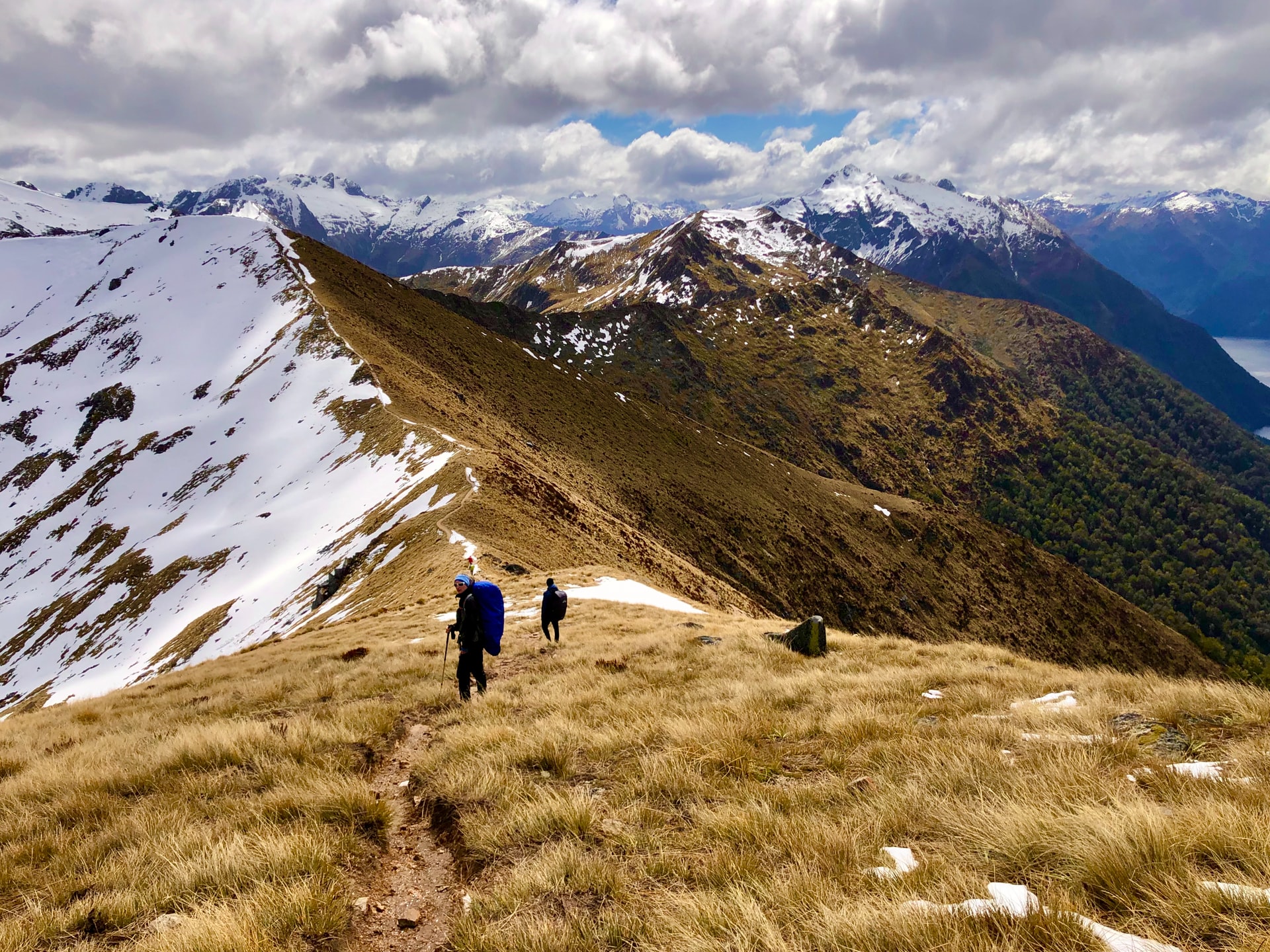 New Zealand Hiking Trails